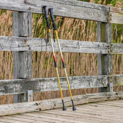 Drive Summit™ Walking Poles