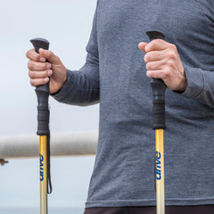 Drive Summit™ Walking Poles