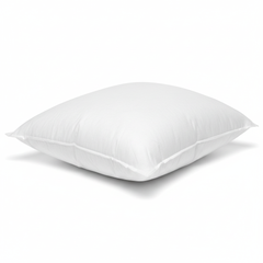 45-Degree Angle View