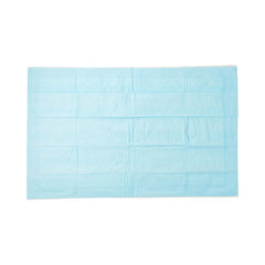 Protection Plus Disposable Fluff Underpads - Medium Absorbency, Polypropylene Backing