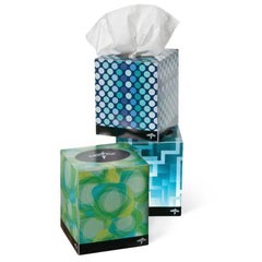 Premium 2-Ply Facial Tissue - Soft, Absorbent & Eco-Friendly Paper Tissues (100 Count)