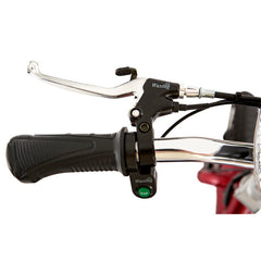 ZooMe 3-Wheel Recreational Scooter