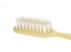 Brush bristle detail