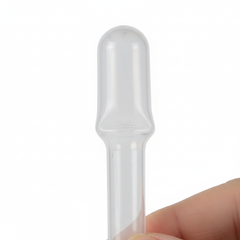 Bulb Detail Close-Up