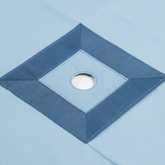 Close-up of fenestration