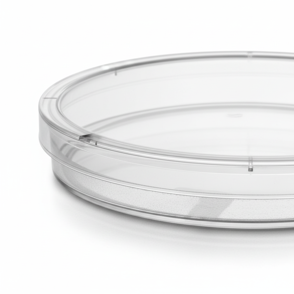 Close-up of vented lid and frosted rim