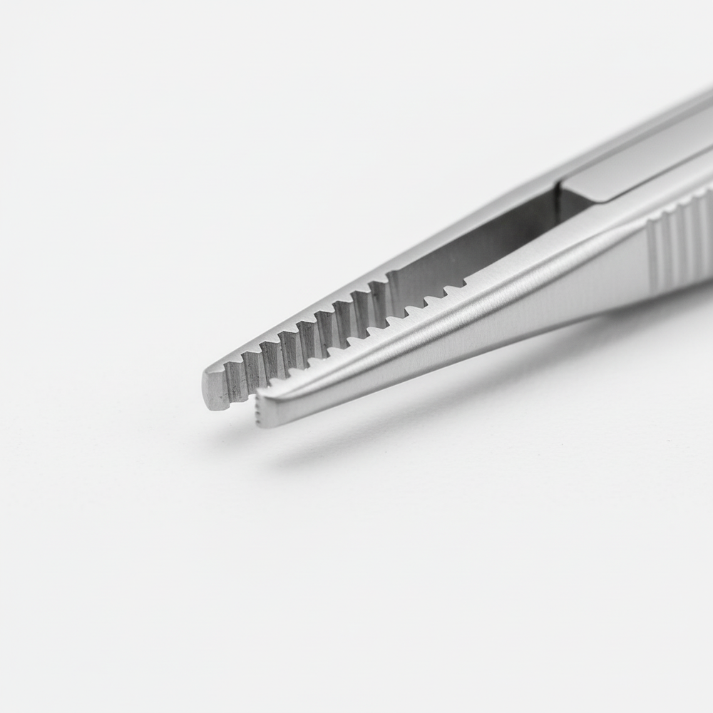 Close-Up Teeth Detail