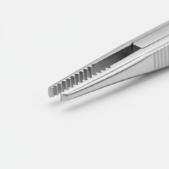 Close-Up Teeth Detail