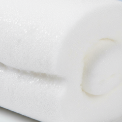 Close-up texture detail