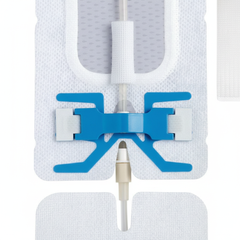 Collar and securement detail