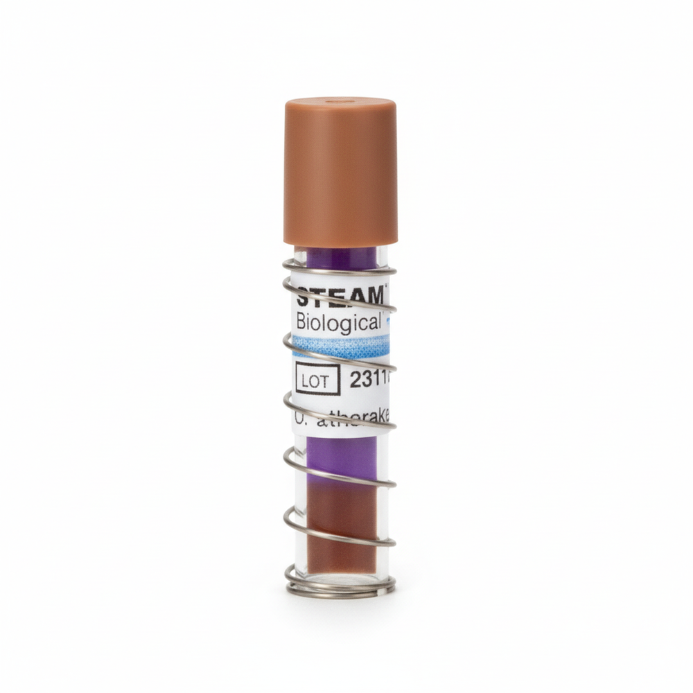 Color change indicator detail