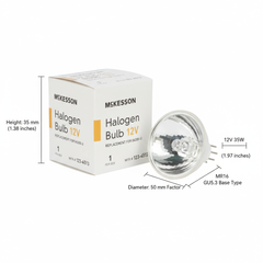 Dimensions and Scale