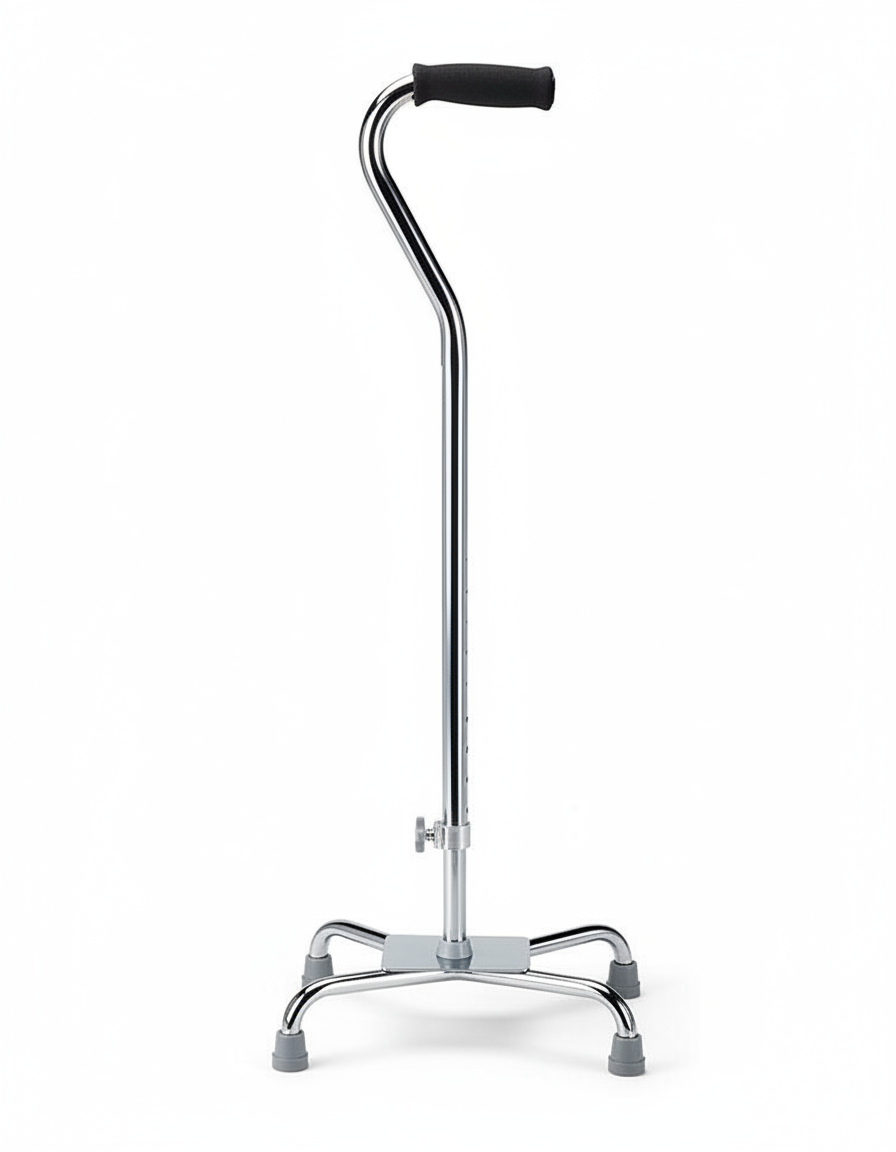 Full side profile of cane