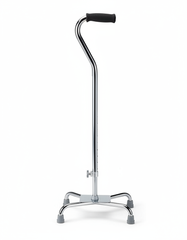 Full side profile of cane