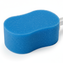 Sponge Head Detail Close-up