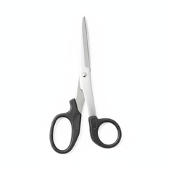 Top-down overhead view