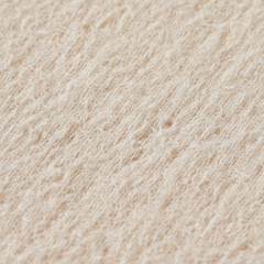 Close-Up Texture Detail