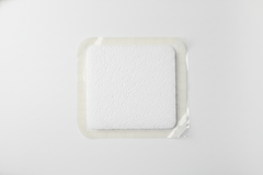 Top-Down Flat Lay View