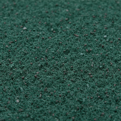 Close-up texture detail