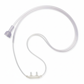 Full Length Top-Down View