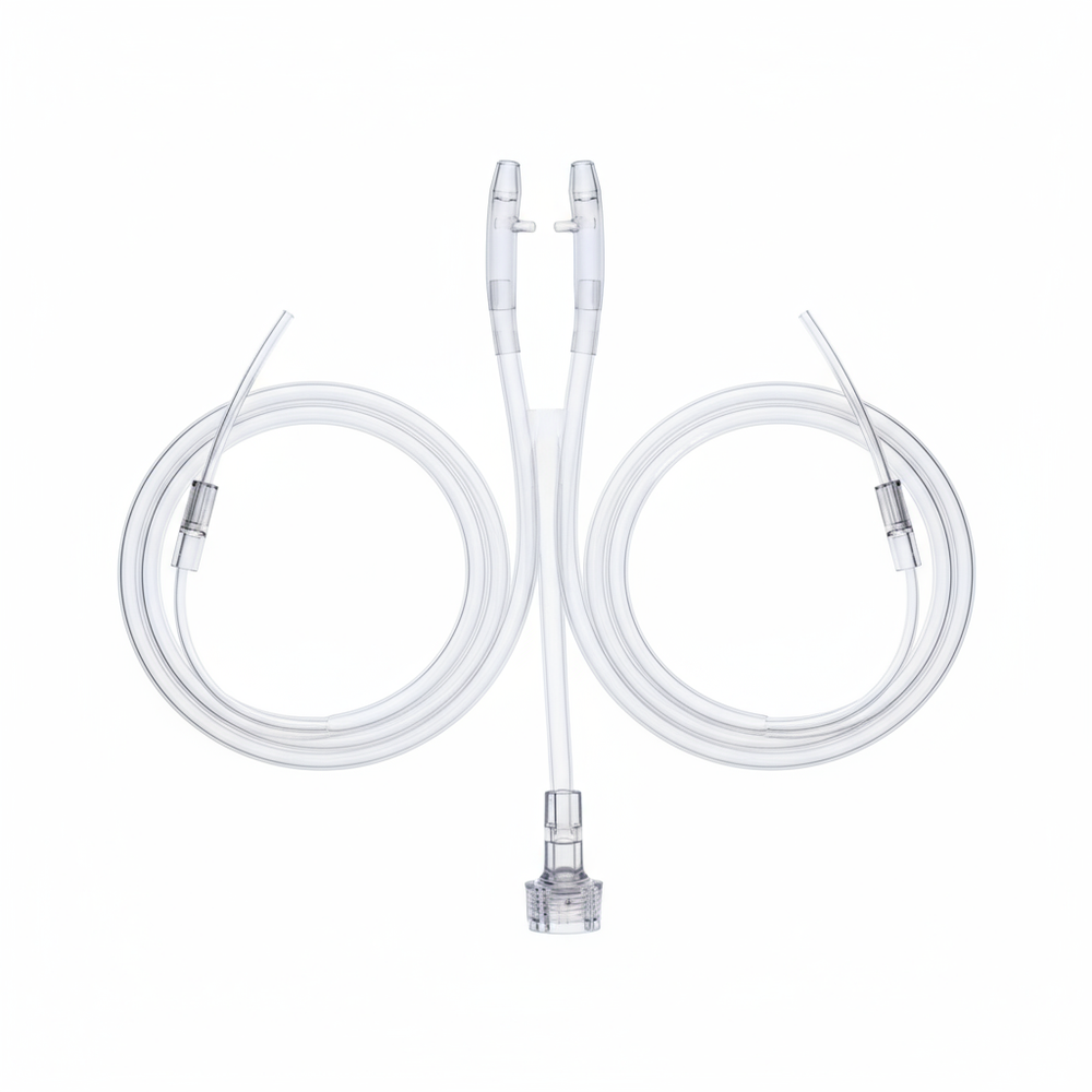 Top-down view showing symmetry