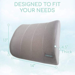 Lower Back Bundle