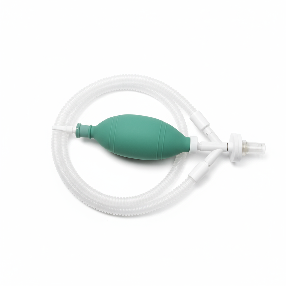 Overhead view showing complete circuit layout