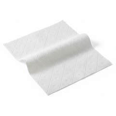 Paper Towel Texture Detail