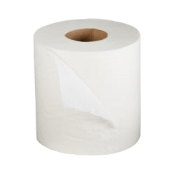Premium 2-Ply Toilet Tissue - Sustainable Rapidly Renewable Fiber Bath Tissue 500 Sheets