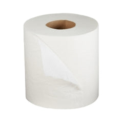 Premium 2-Ply Toilet Tissue - Sustainable Rapidly Renewable Fiber Bath Tissue 500 Sheets