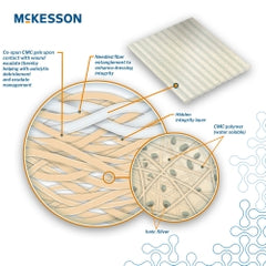 Silver Gelling Fiber Dressing Rope - Antimicrobial Ionic Silver 3/4 x 18 Inch