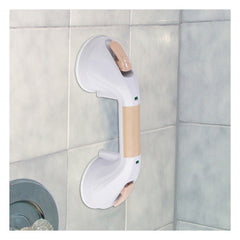 Suction Cup Grab Bars