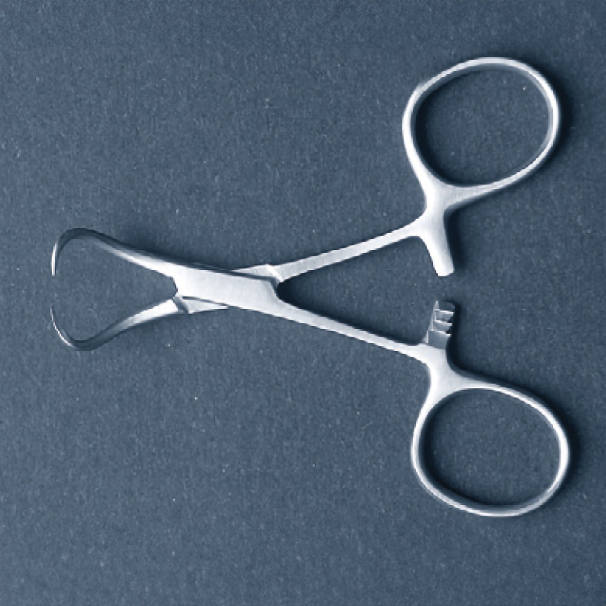 Backhaus Towel Clamp 5-1/4 Inch - Surgical Grade Stainless Steel Drape Holder