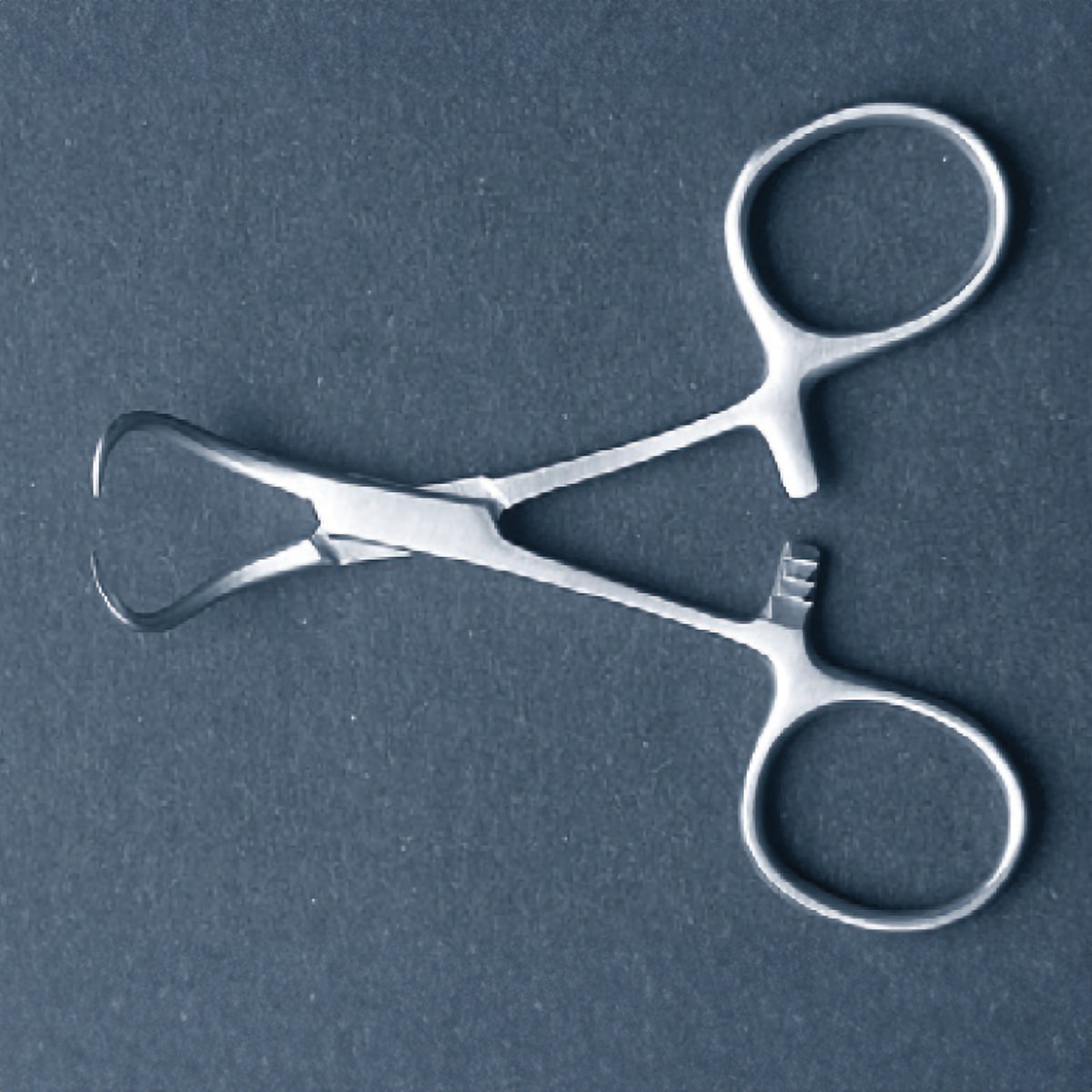 Backhaus Towel Clamp 5-1/4 Inch - Surgical Grade Stainless Steel Drape Holder