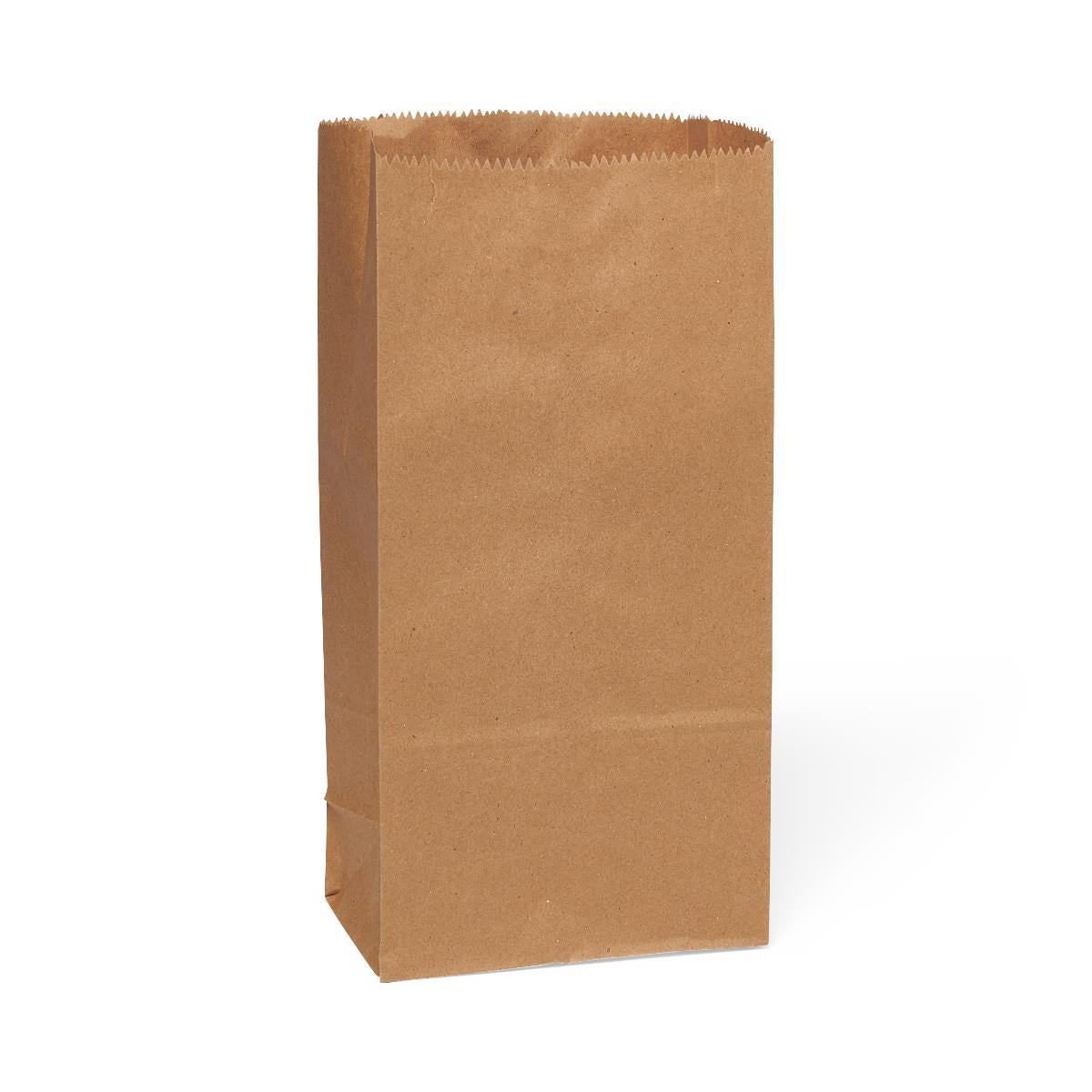 Brown Paper Bags - 100% Recycled | Multiple Sizes Available | Eco-Friendly Packaging