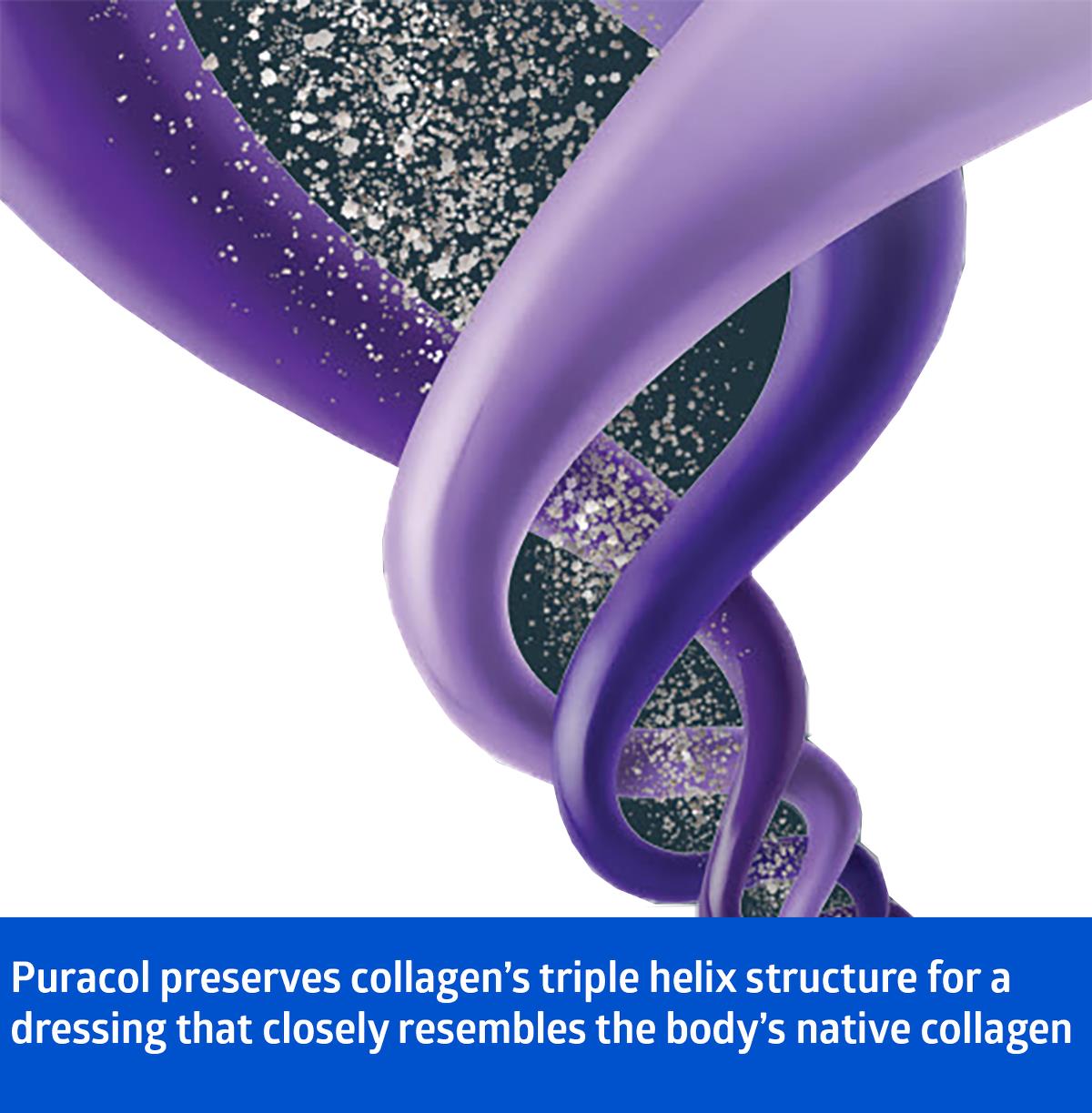 Puracol Plus AG+ Silver Collagen Wound Dressing - 100% Native Collagen with Antimicrobial Protection