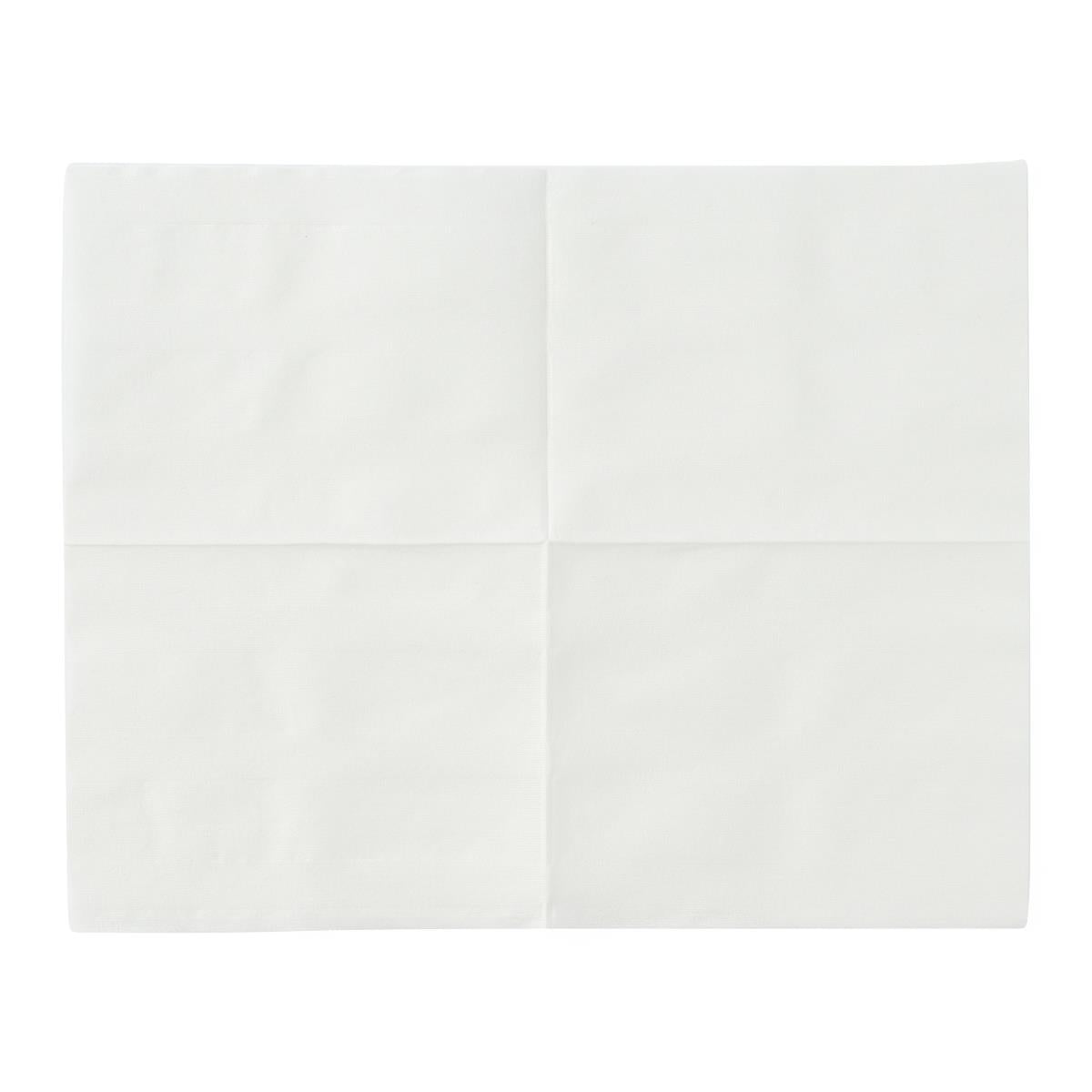 Medline NatureSoft Flushable Dry Cleansing Wipes 9"x13" - Biodegradable Unscented Personal Care