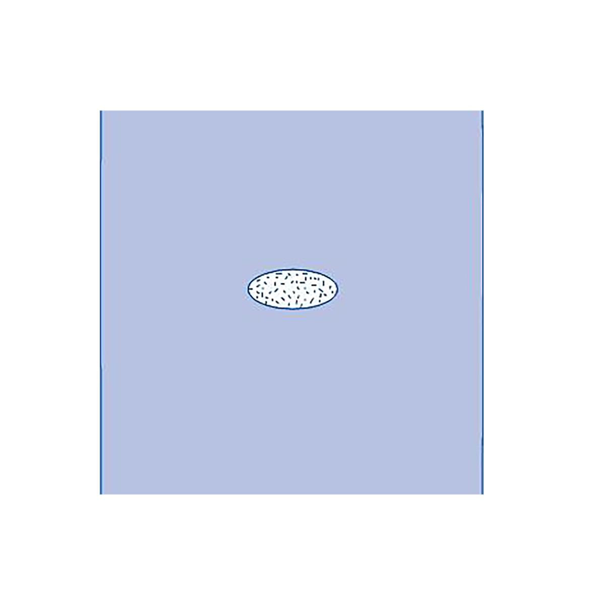 Adherent Window Sheet 45"x40" SMS Drape with Oval Incise - Case of 34