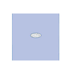 Adherent Window Sheet 45"x40" SMS Drape with Oval Incise - Case of 34