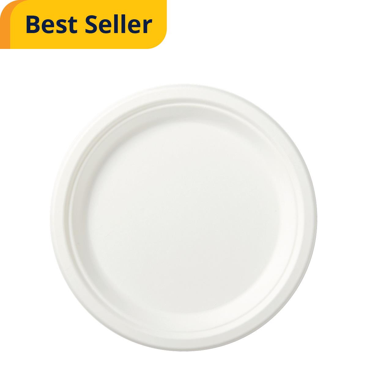 Eco-Friendly Sugarcane Paper Plates - 9 Inch Disposable Biodegradable Plates