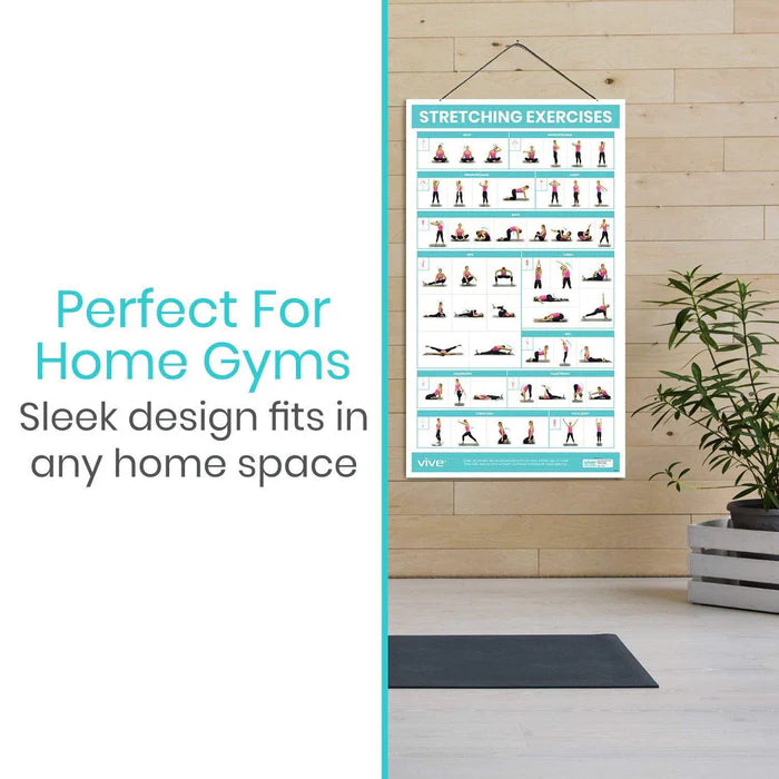 Stretch Exercise Posters Stretching Workout Poster – Horizon Medical Equipments