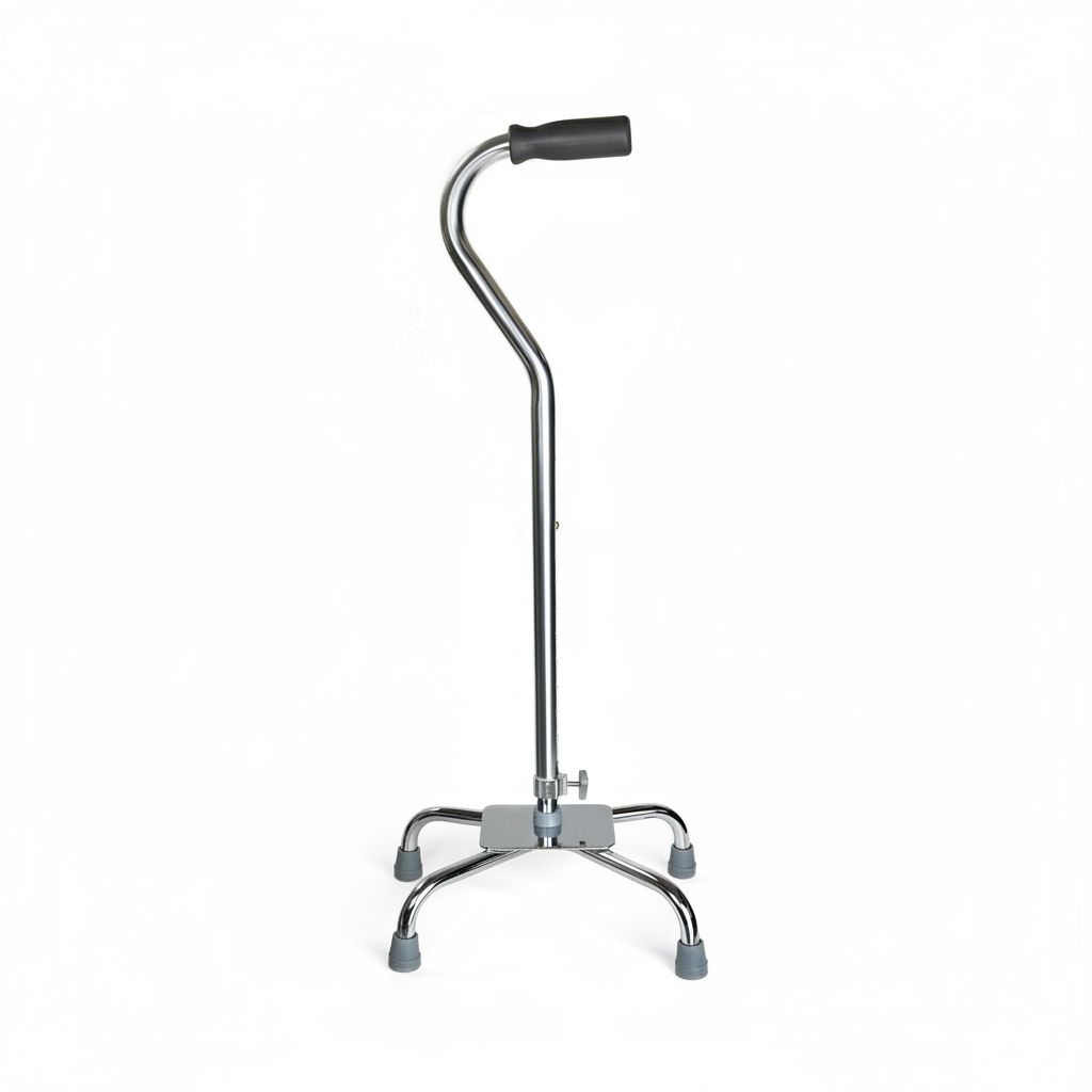 Cane standing independently on its own