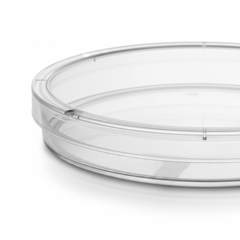 Close-up of vented lid and frosted rim