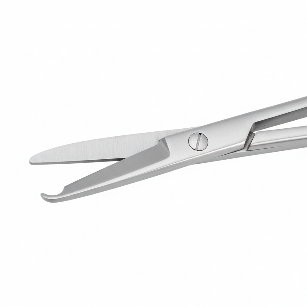 Hook-shaped tip close-up