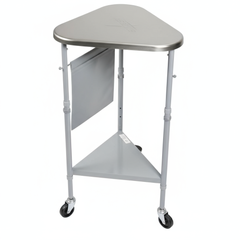 Rear Three-Quarter View