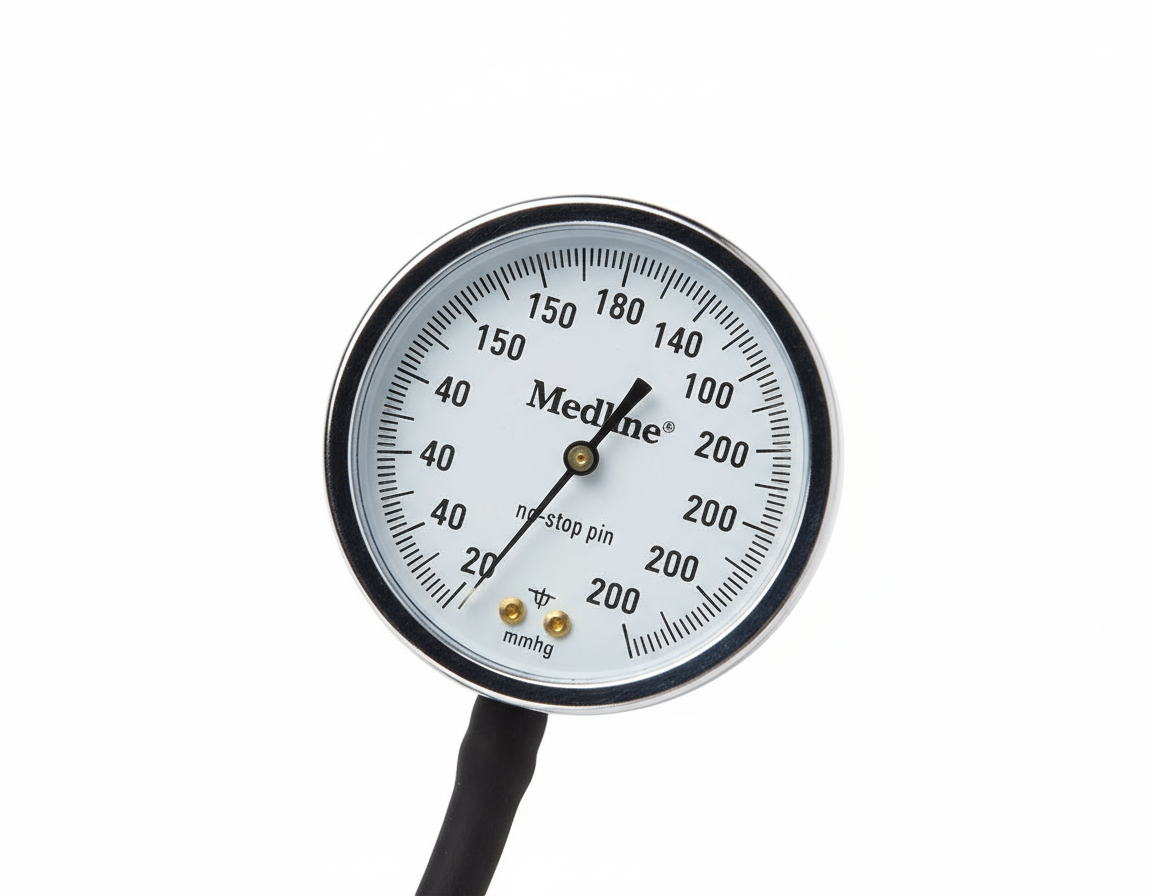 Gauge Detail Close-up