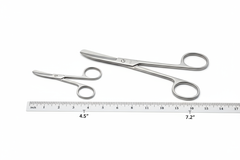 Size comparison with ruler