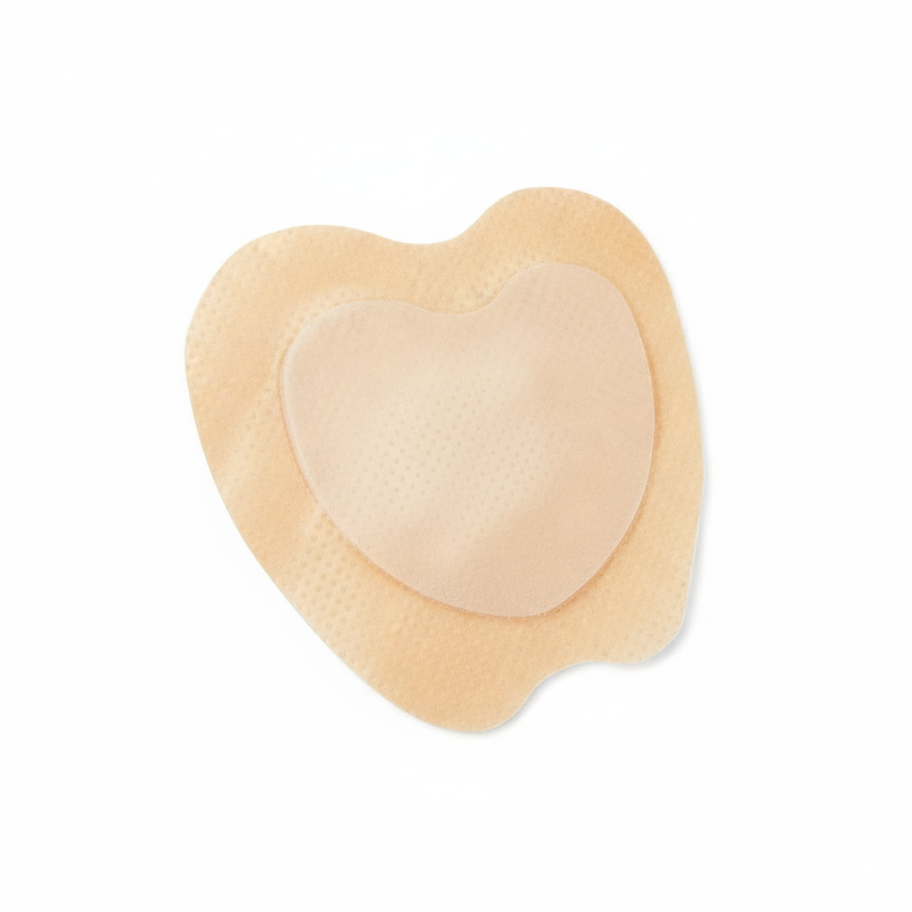 Back outer layer view