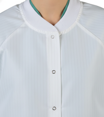 Collar and Snap Detail