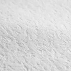 Close-Up Texture Detail